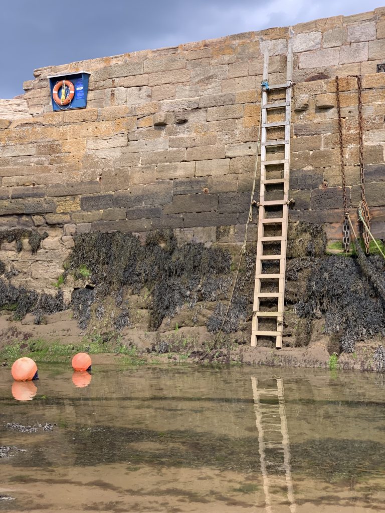 Harbour wall and ladder